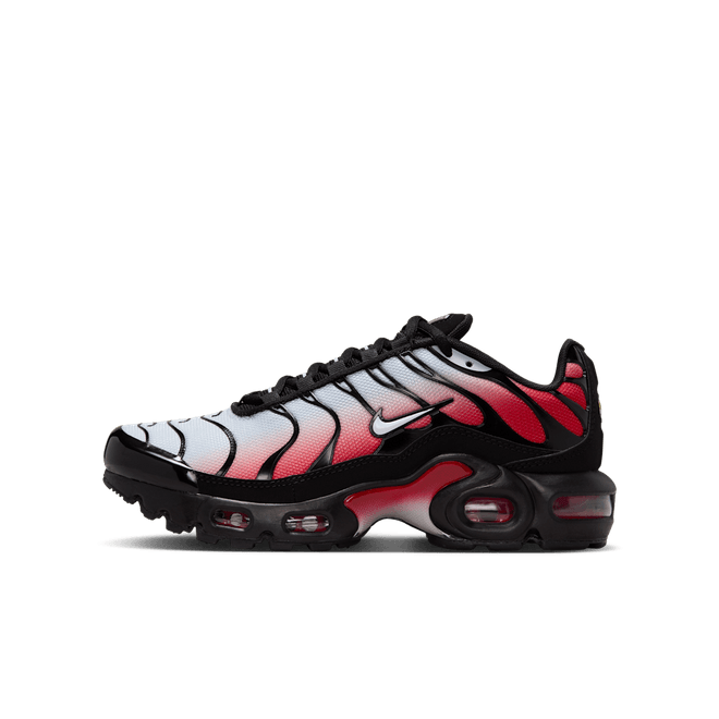 Nike Air Max Plus Older Kids' CD0609-036