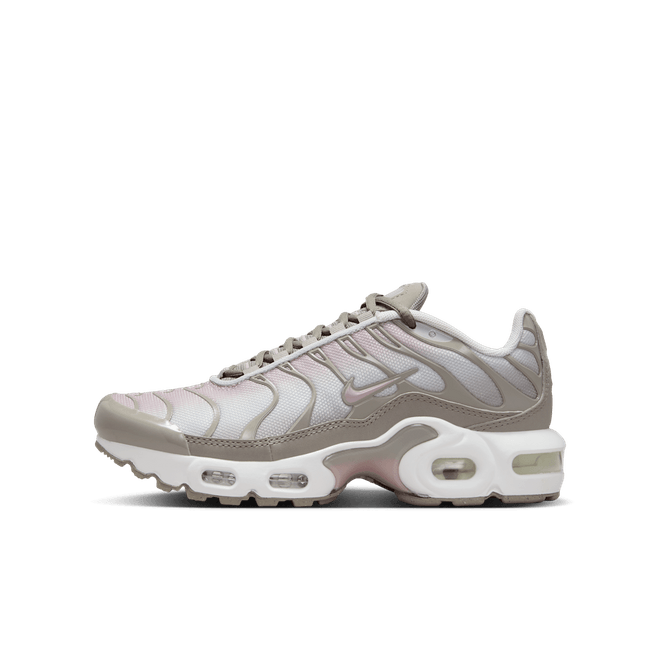 Nike Air Max Plus Big Kids' CD0609-035