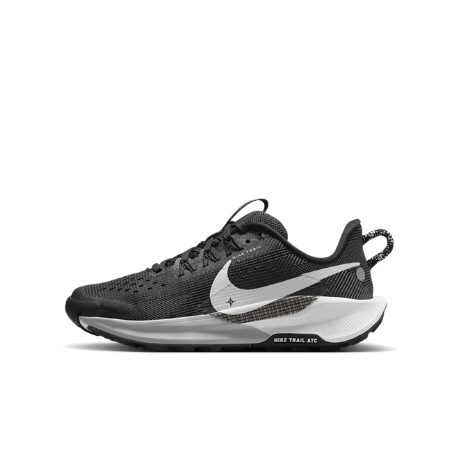 Nike Pegasus Trail 5 Big Kids' Trail FV5638-003
