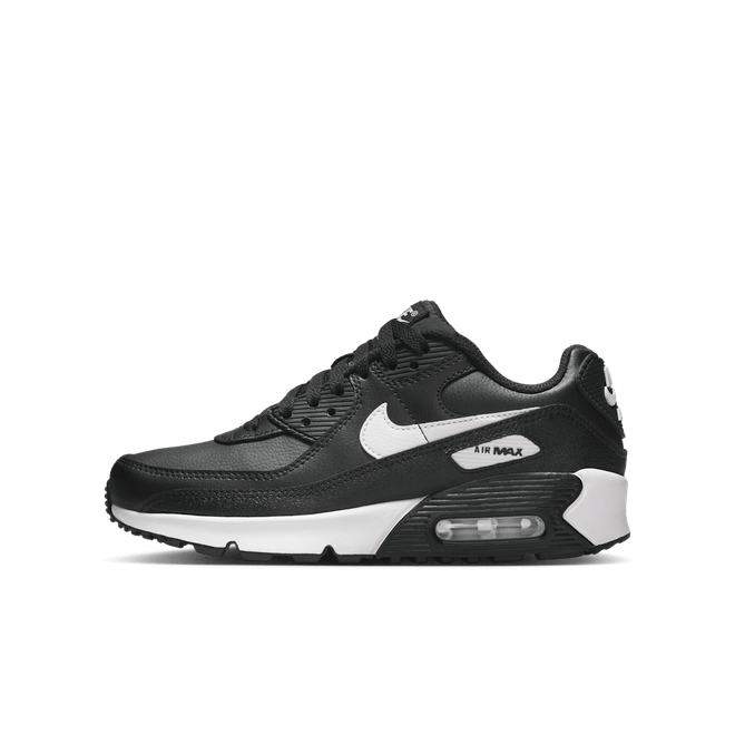 Nike Air Max 90 LTR Big Kidsâ CD6864-029