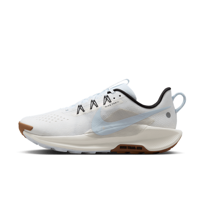 Nike Pegasus Trail 5 Trail DV3864-103