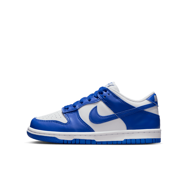 Nike Dunk Low FB9109-131