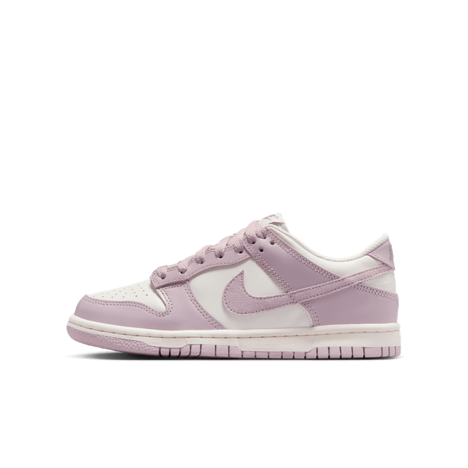 Nike Dunk Low Older Kids' FB9109-122