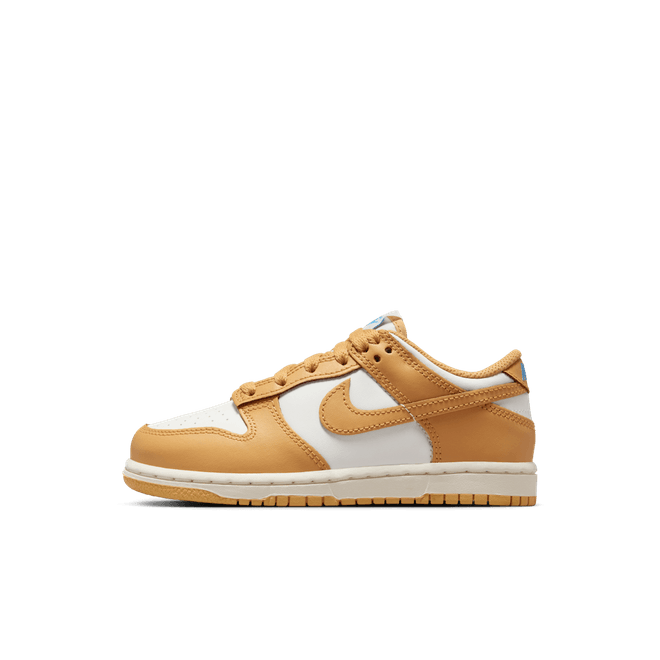 Nike Dunk Low Little Kids' FB9108-700