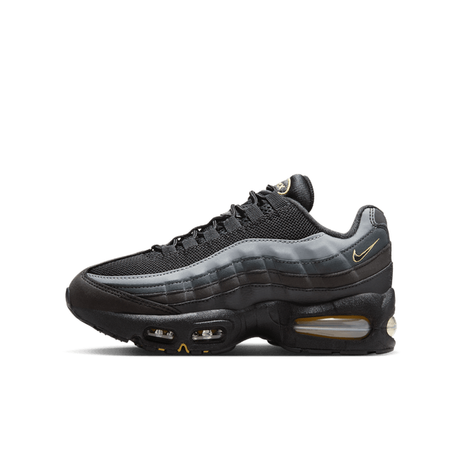 Nike Air Max 95 Older Kids' IH0631-002