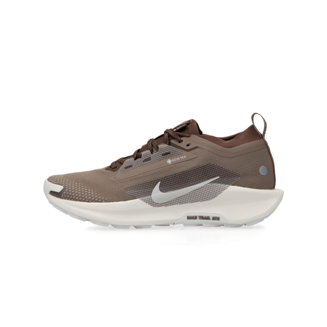 Nike Pegasus Trail 5 Gore-Tex SP mink brown HQ7494-200