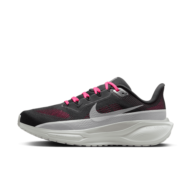 Nike Pegasus 41 SE Road IH0530-070