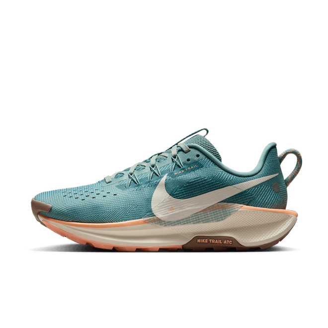 Nike Pegasus Trail 5 Trail-Running DV3865-010