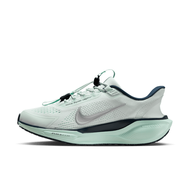 Nike Pegasus EasyOn Road FQ7844-400