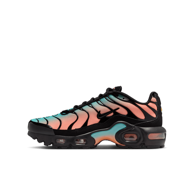 Nike Air Max Plus Older Kids' CD0609-037