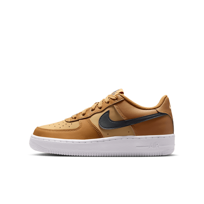 Nike Air Force 1 Older Kids' CT3839-700