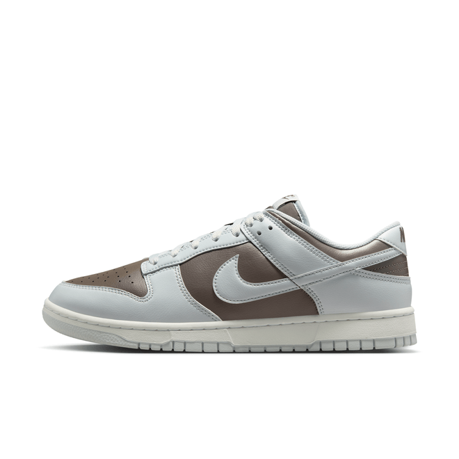 Nike Dunk Low Retro HF5441-202