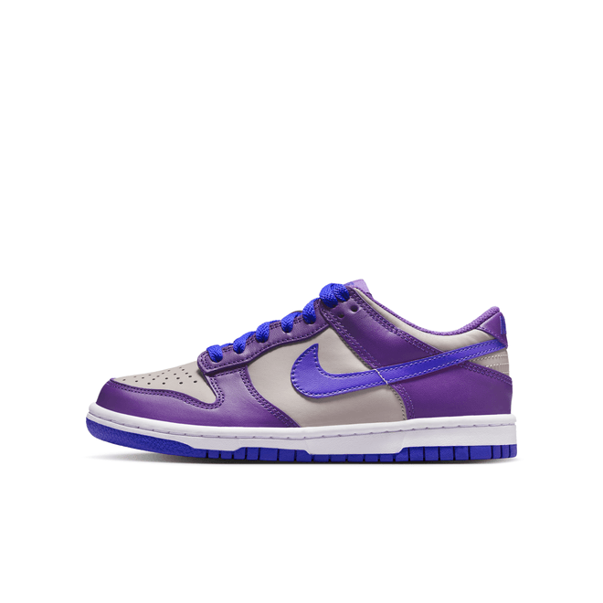 Nike Dunk Low Big Kids' FB9109-007