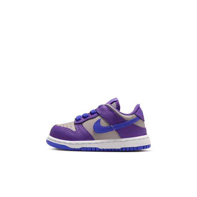 Nike Dunk Low Baby/Toddler FB9107-007