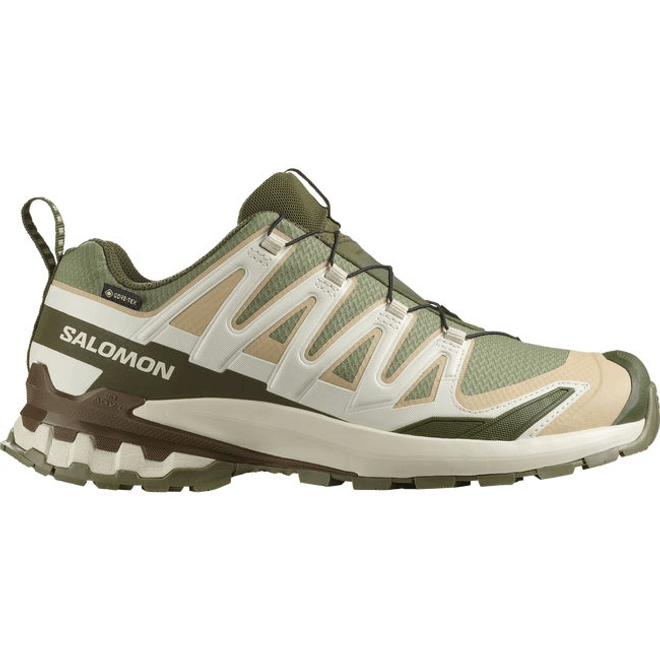 Salomon Xa Pro 3d V9 Gore-tex Deep Lichen Green  L47820200
