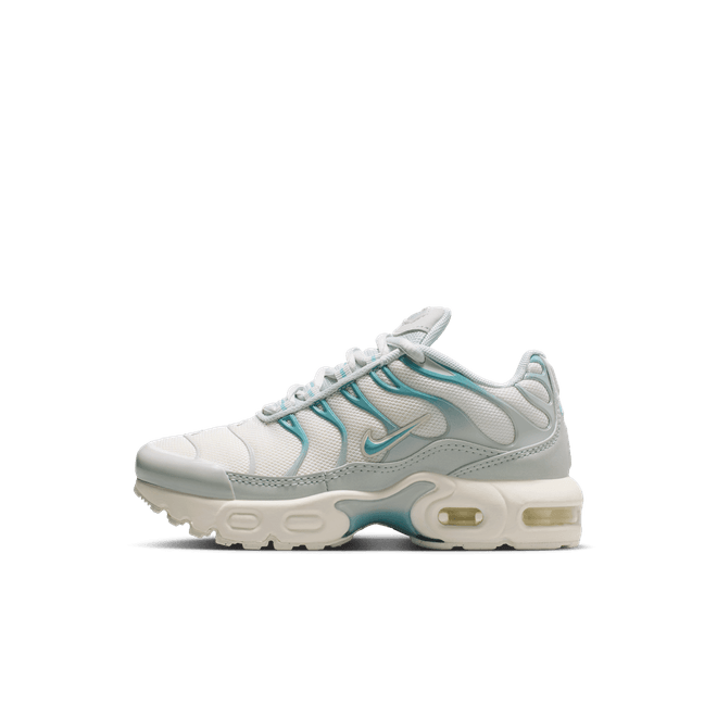 Nike Tuned Unisex Shoes FZ0023-038