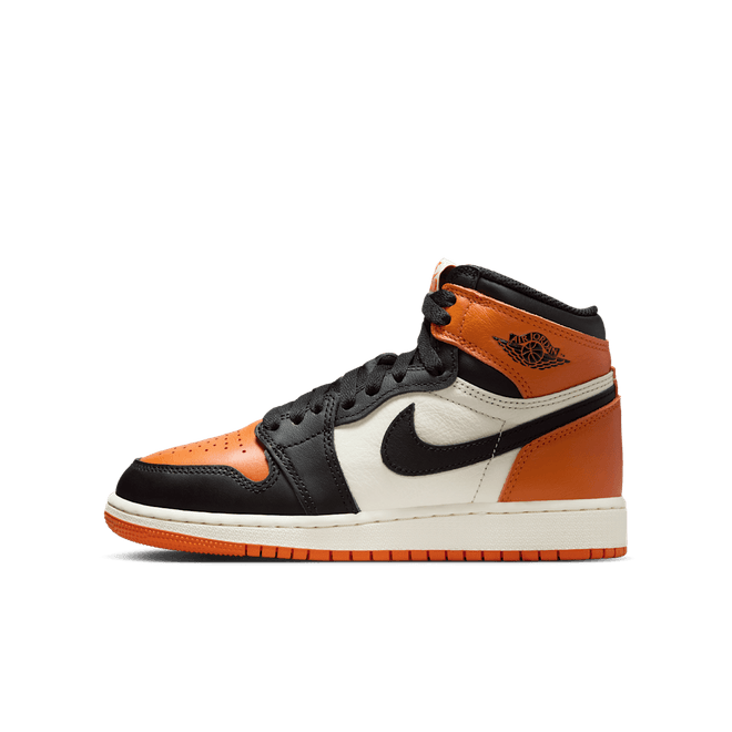 Air Jordan 1 High OG Big Kids' FD1437-008