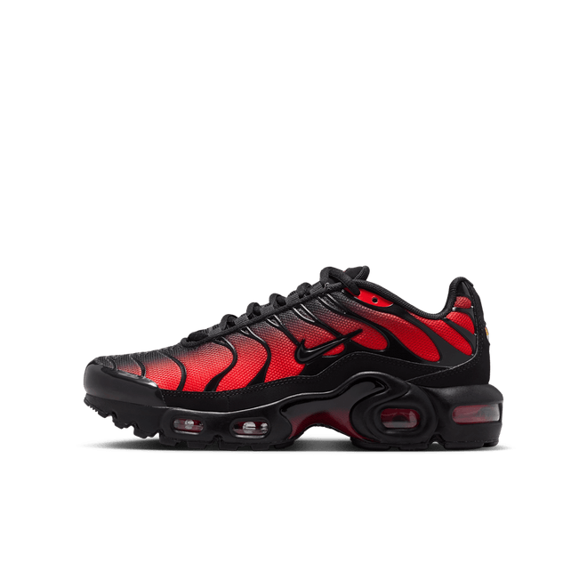 Nike Air Max Plus Older Kids' CD0609-039
