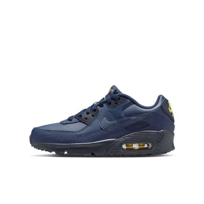 Nike Air Max 90 LTR Older Kids' CD6864-405