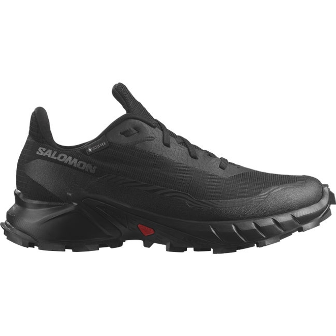 Salomon Alphacross 5 Gore-tex Black  L47310900