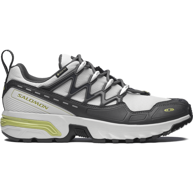 Salomon Acs+ Gore-tex Gray Violet  L47858100