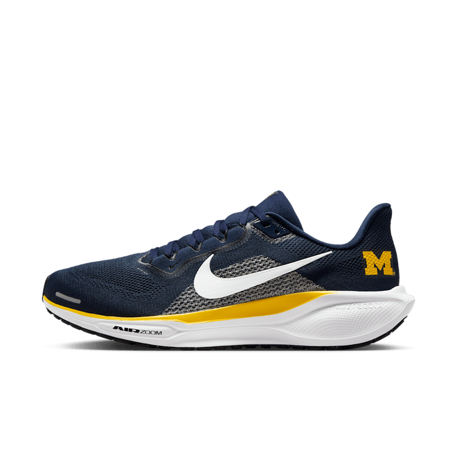 Michigan Pegasus 41 Nike College Road IB3269-400