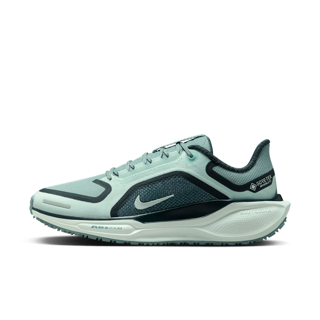 Nike Pegasus 41 GORE-TEX waterdichte FQ1357-003