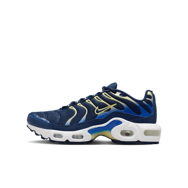 Nike Air Max Plus Older Kids' CD0609-412
