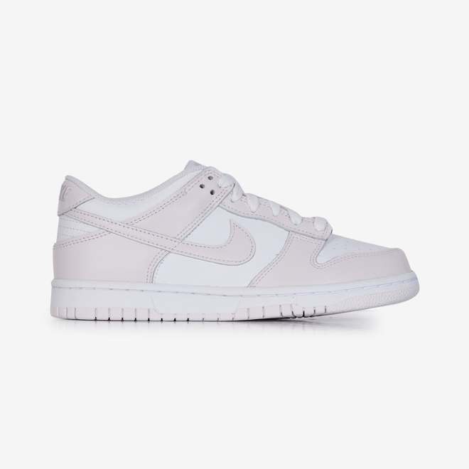Nike Dunk Low (GS)  FB9109128