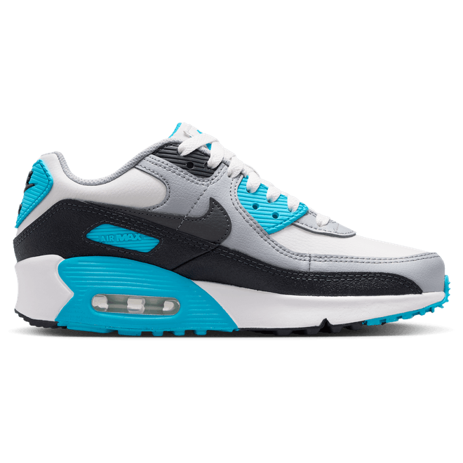 Nike Air Max 90 CD6864-034