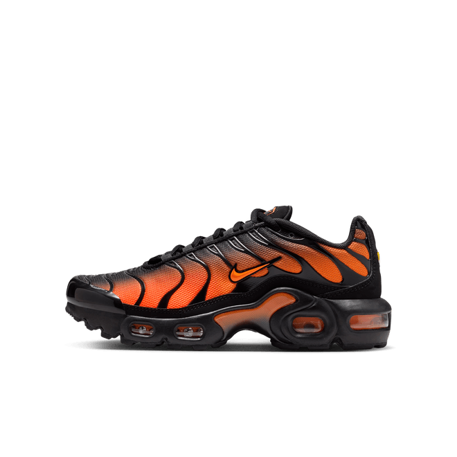 Nike Air Max Plus Older Kids' CD0609-041
