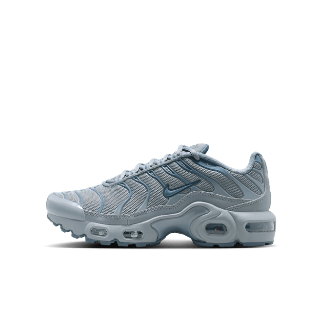 Nike Air Max Plus Older Kids' CD0609-042