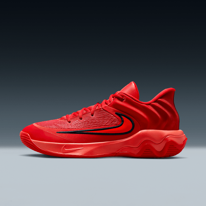 Nike Giannis Immortality 4 Basketball FQ3680-600