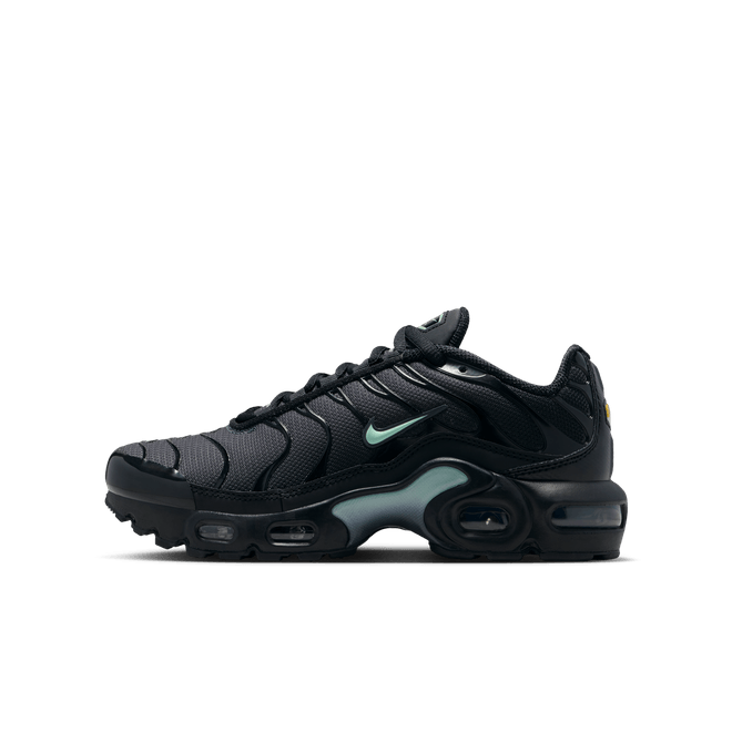 Nike Air Max Plus Older Kids' IF6169-010