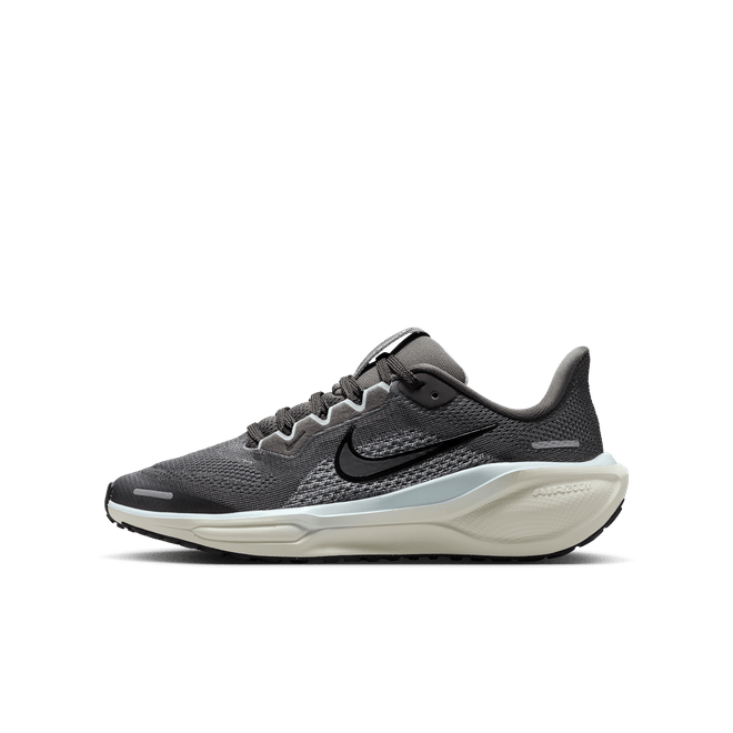 Nike Pegasus 41 FN5041-201