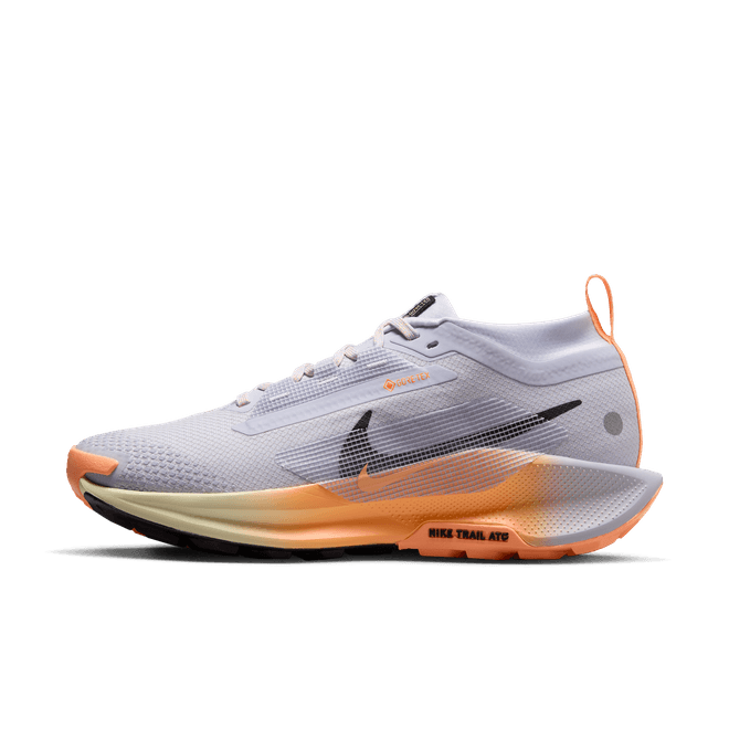 Nike Pegasus Trail 5 GORE-TEX Waterproof Trail-Running FQ0912-011