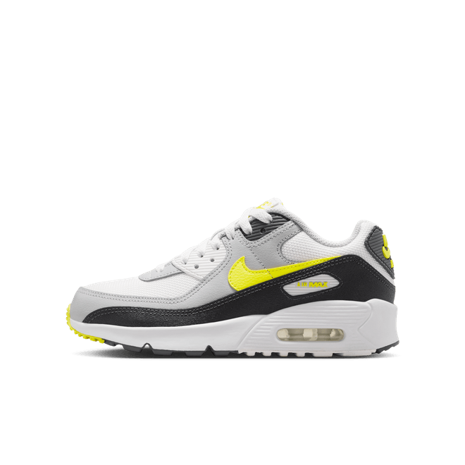 Nike Air Max 90 Older Kids' Shoe IQ0098-100
