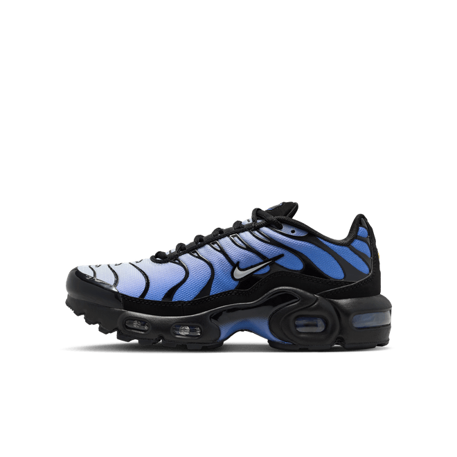 Nike Air Max Plus Older Kids' CD0609-045