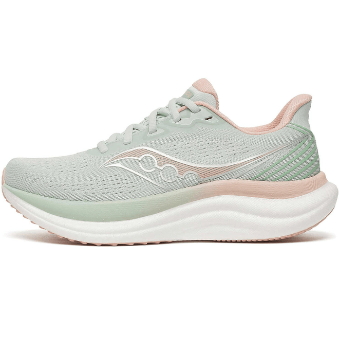 Saucony Triumph 23 S11023-138