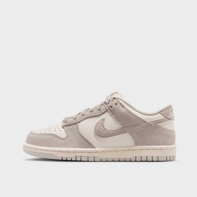 Nike Dunk Low (GS)  IB5691-101