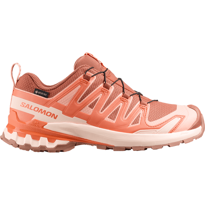 Salomon Xa Pro 3d V9 Gtx W  L47987800