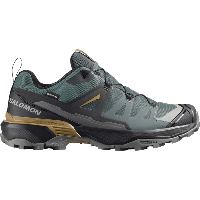 Salomon X Ultra 360 Gtx  L49101700