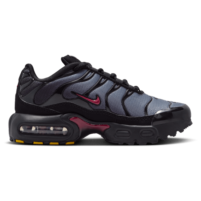 Nike Tuned Black FZ0023-047