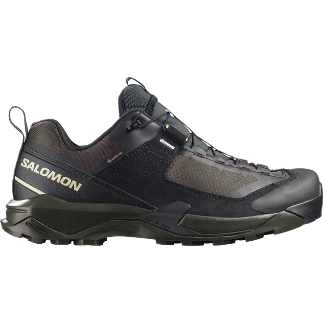 Salomon X Ultra Alpine Gtx  L49214200