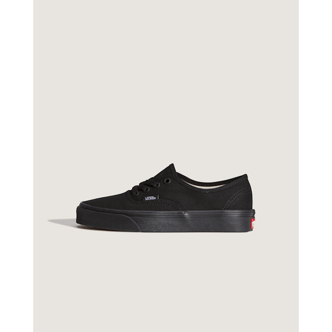 Vans Authentic  VN000E9BBKA