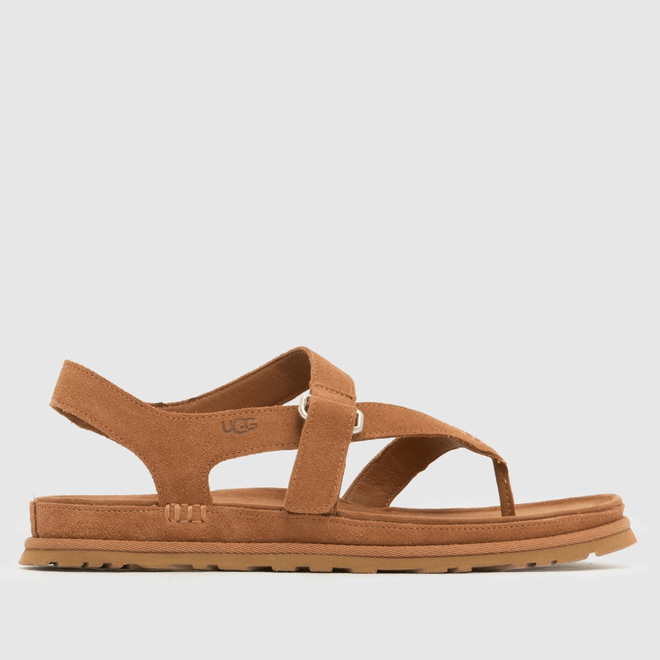 UGG® GoldenGaze Toe Post Sandal Brown 1175134-CHE