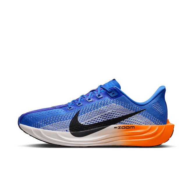 Nike Pegasus Plus Road FQ7262-403