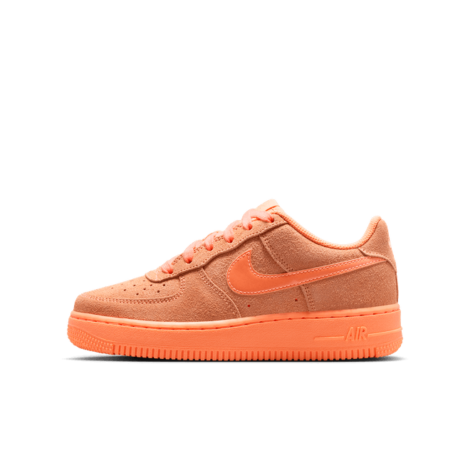 Nike Air Force 1 Suede IR5611-801