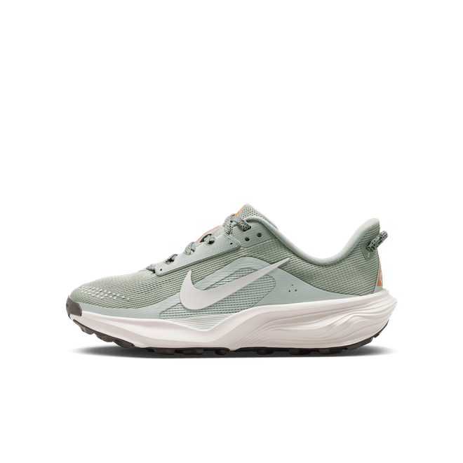 Nike ACG Pegasus Trail Older Kids' IH2305-301