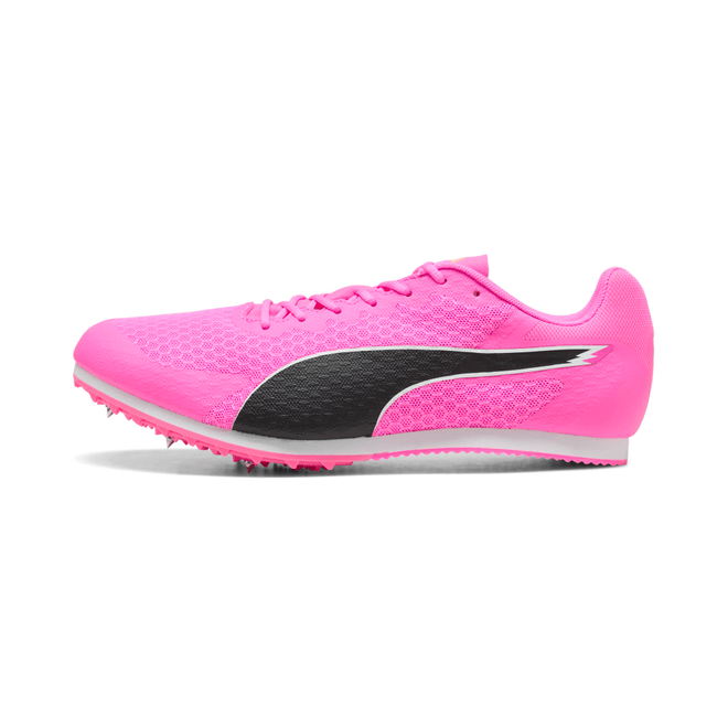 PUMA EvoSPEED Star 9   311379-06